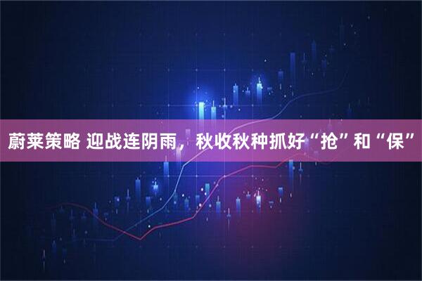 蔚莱策略 迎战连阴雨，秋收秋种抓好“抢”和“保”