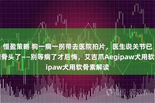 恒盈策略 狗一瘸一拐带去医院拍片，医生说关节已经磨损到骨头了——别等瘸了才后悔，艾吉爪Aegipaw犬用软骨素解读